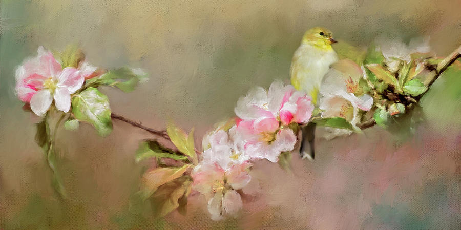 Blooming Flowers and Finch Photograph by Lana Trussell