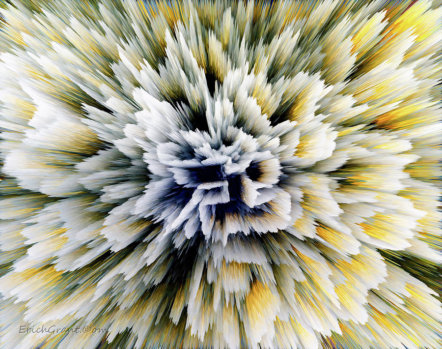 Abstract Photograph - Blooming Fixer by Erich Grant Abstract Photograph - Blooming Fixer by Erich Grant