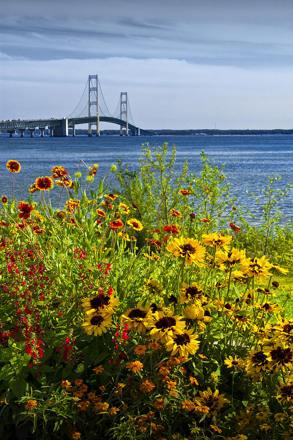 Summer Photograph - Blooming Flowers by the Bridge at the Straits of Mackinac by Randall Nyhof