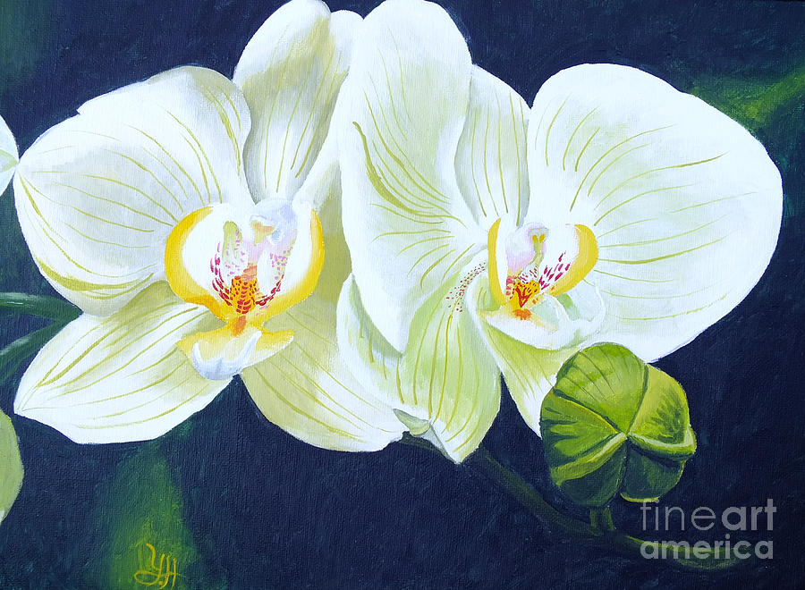 Blooming orchid Digital Art by Yenni Harrison