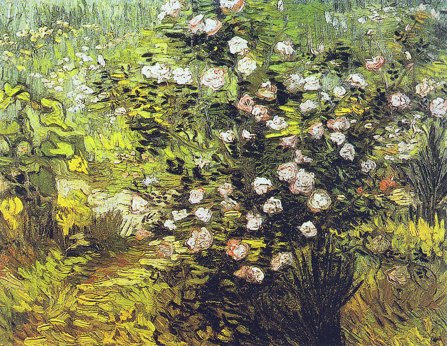 Blooming Rose Bush Painting by Vincent van Gogh