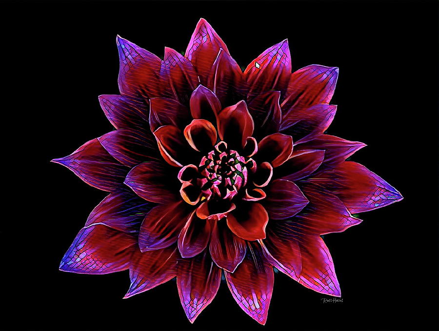 Flowers Still Life Digital Art - Blooming by Russ Harris