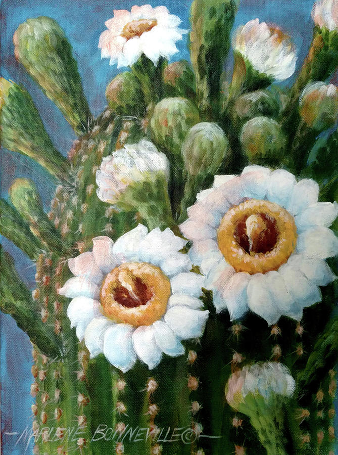 Flower Painting - Blooming Saguaro by Marlene Bonneville