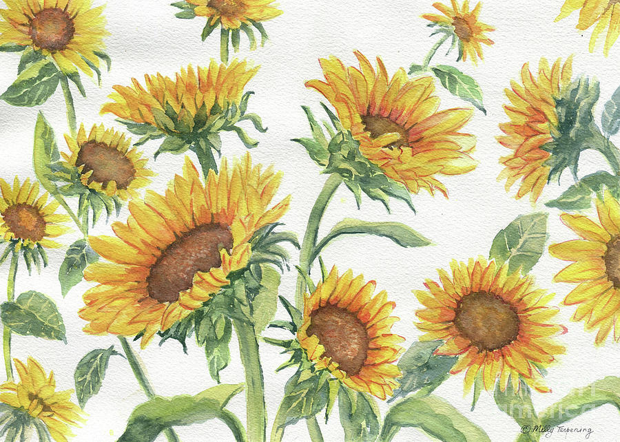 Blooming Sunflowers Painting by Melly Terpening