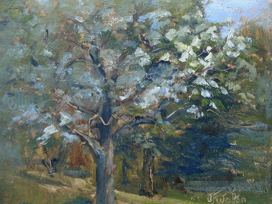 Blooming Tree Painting by Judy Fischer Walton