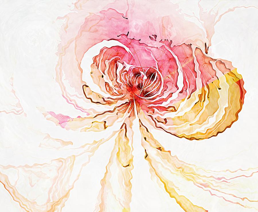 Blossom Digital Art by Amanda Moore