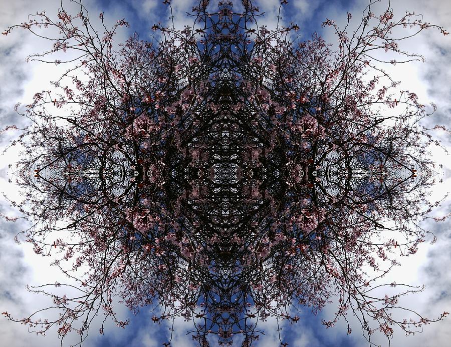 Blossom Branches Photo Composite Photograph by Julia Woodman