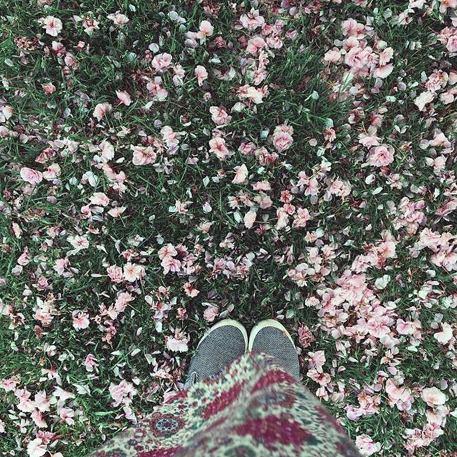Nature Photograph - #blossom #feetporn #flowers #pretty by Emma Gillett
