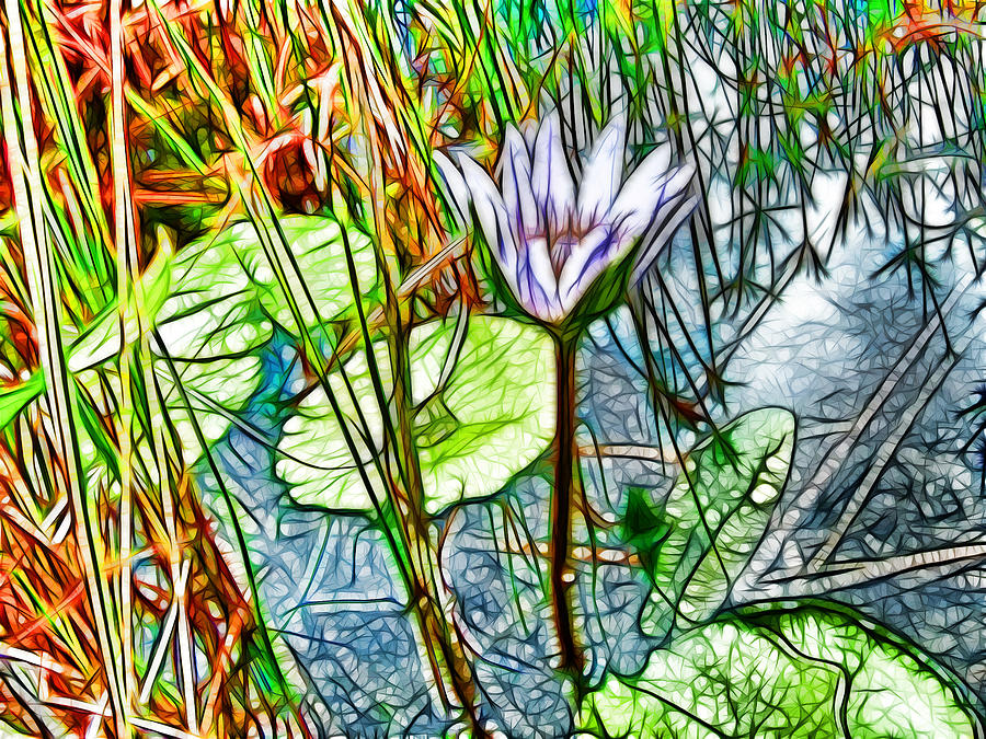 Blossom lotus flower in pond Painting by Jeelan Clark
