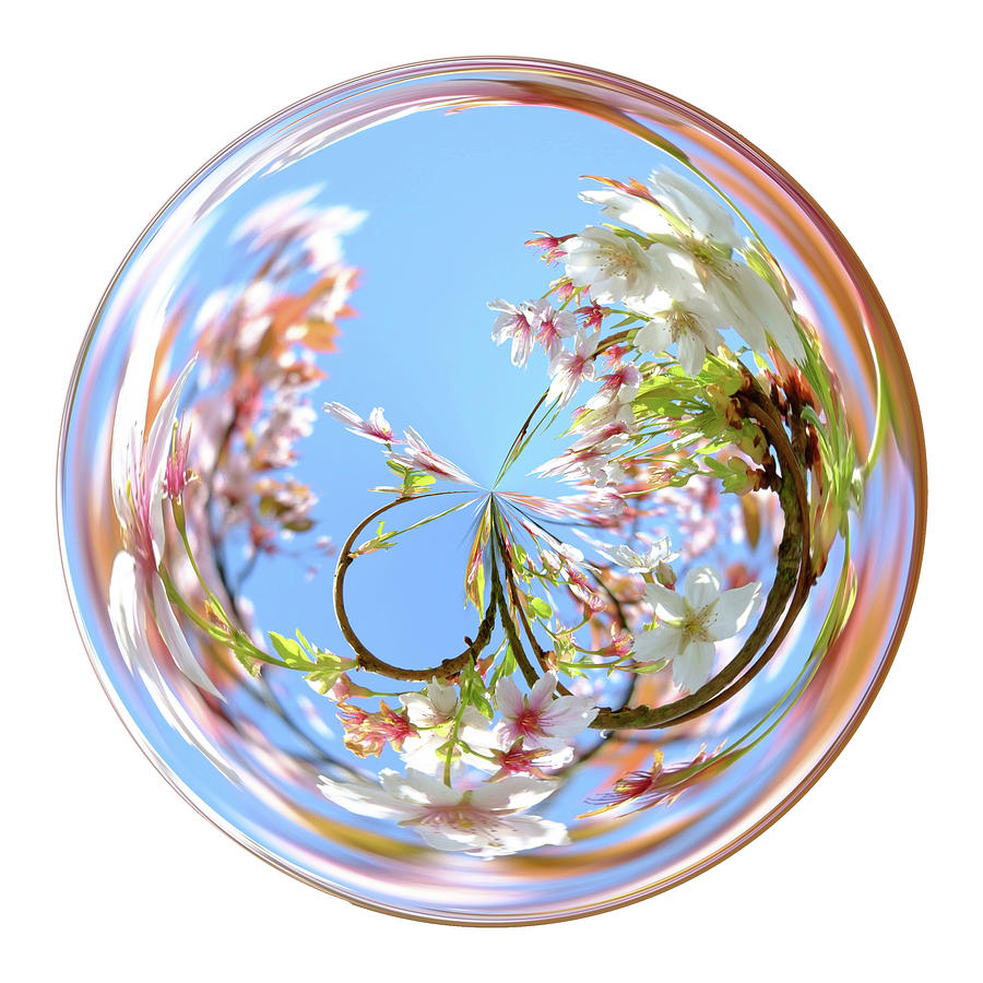 Blossom Orb Digital Art by Michelle Whitmore