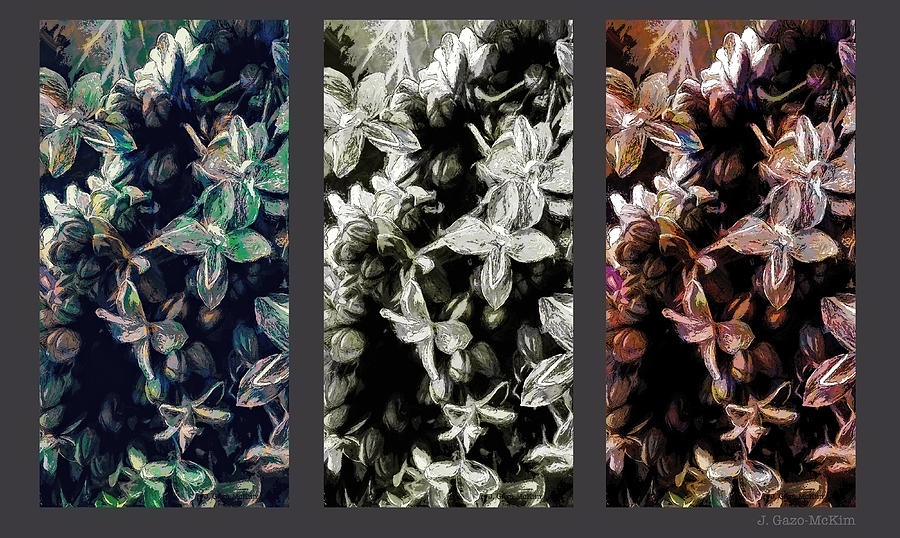Blossom Panel Digital Art by Jo-Anne Gazo-McKim
