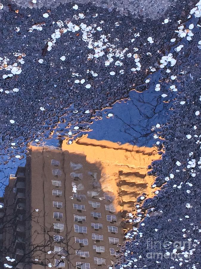 Blossom Snow - World in a Puddle Photograph by Miriam Danar