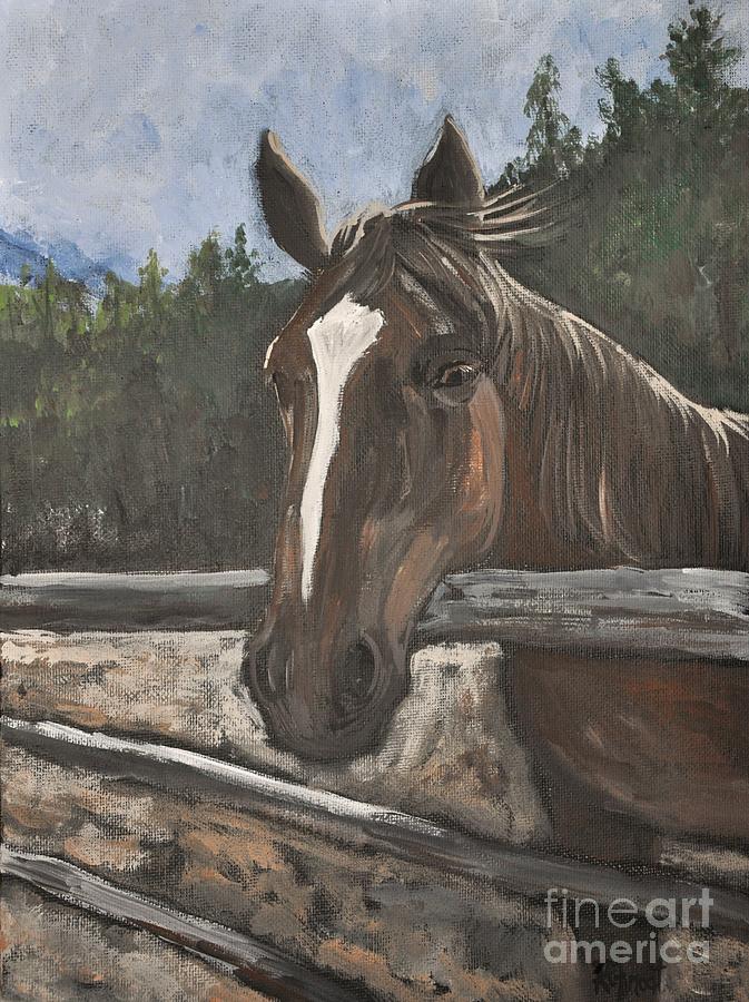 Blossom the Horse Painting by Reb Frost