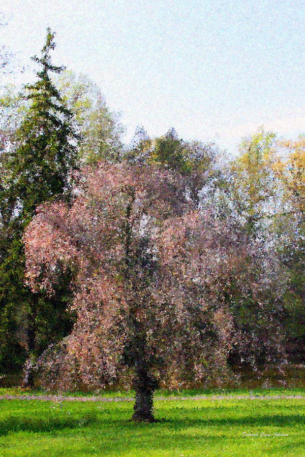 Blossom Tree Impressionist Photograph by Deborah  Crew-Johnson