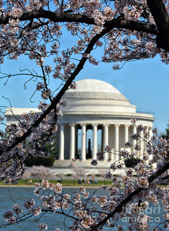 Blossoming Jefferson Tapestry - Textile by Edna W - Fine Art America