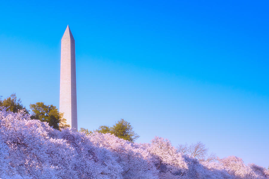 Blossoming Monument Photograph by Scott Wyatt
