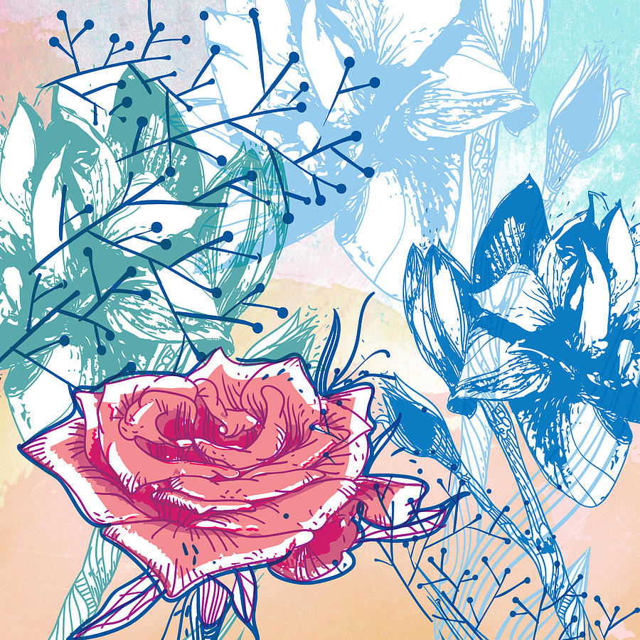 Illustration Drawing - Blossoming rose by Maria Biro Illustration Drawing - Blossoming rose by Maria Biro