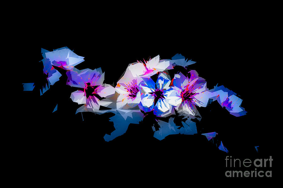 Blossoms Abstracted Photograph by Michael Arend
