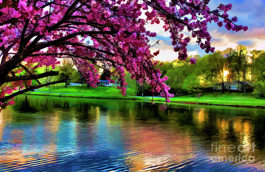 Blossoms Lake Tones Beautiful  Photograph by Chuck Kuhn