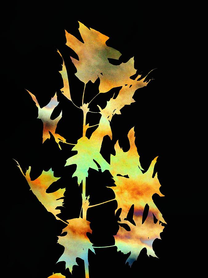 Abstract Digital Art - Blowin In The Wind by Tim Allen