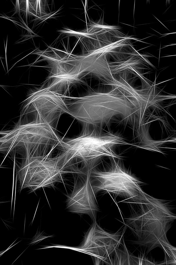 Blowing Dandelion Seeds Digital Art by John Haldane