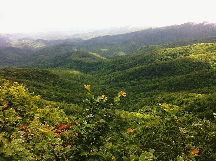 View from Blowing Rock, North Carolina Photograph by SarahJo Hawes