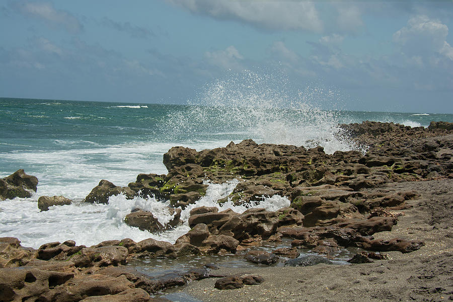 Blowing Rocks Preserve Jupiter Island Florida Photograph by John Black