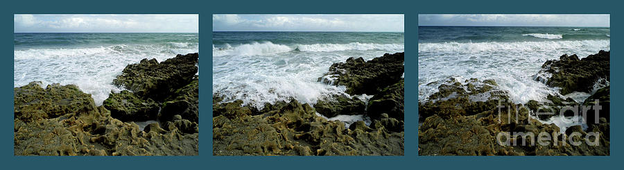 Blowing Rocks Preserve Triptych Photograph by D Hackett