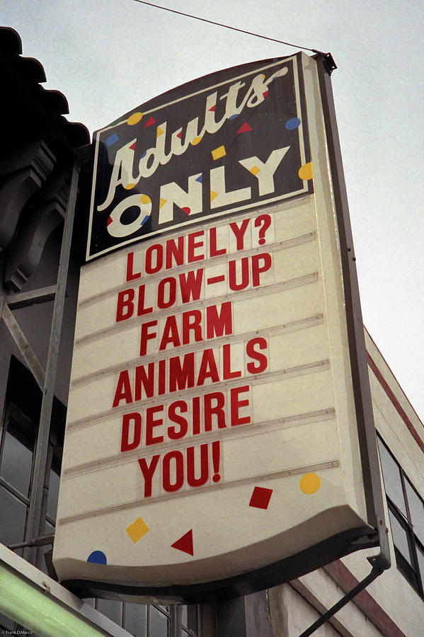 Blowup Farm Animals Sign Photograph by Frank DiMarco