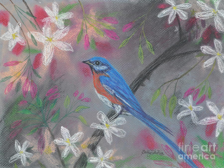 Bluebird Pastel - Bluebird by Sally Tiska Rice