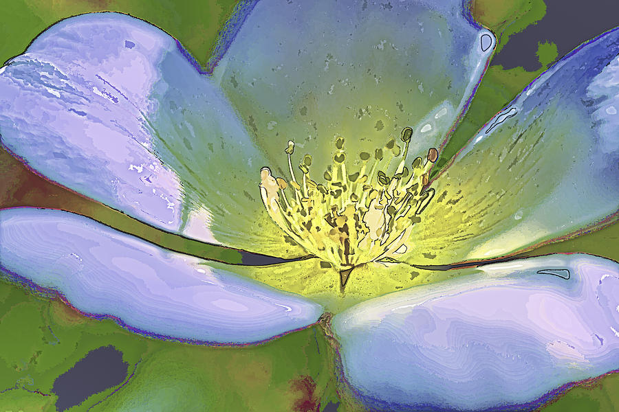Blue Abstract Flower by Paula Porterfield-Izzo Blue Abstract Flower by Paula Porterfield-Izzo