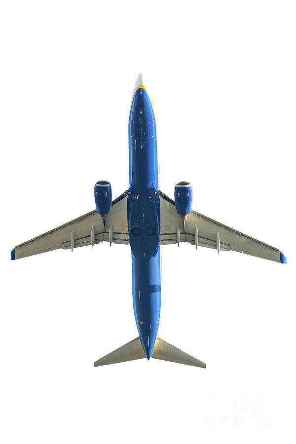 Blue Airplane Below Photograph by Benny Marty