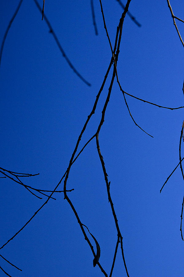 Abstract Photograph - Blue and Black Abstract by Morgan Wright