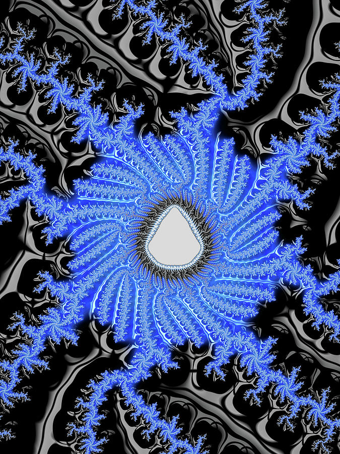 Blue and black Fractal Snowflake Digital Art by Matthias Hauser
