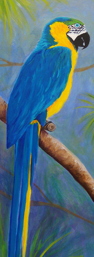 Blue and Gold Macaw Painting by Anne Marie Brown