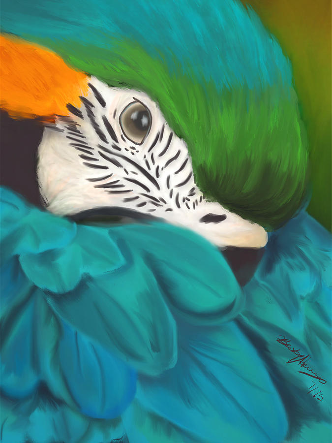 Blue and Gold Macaw Painting by Becky Herrera