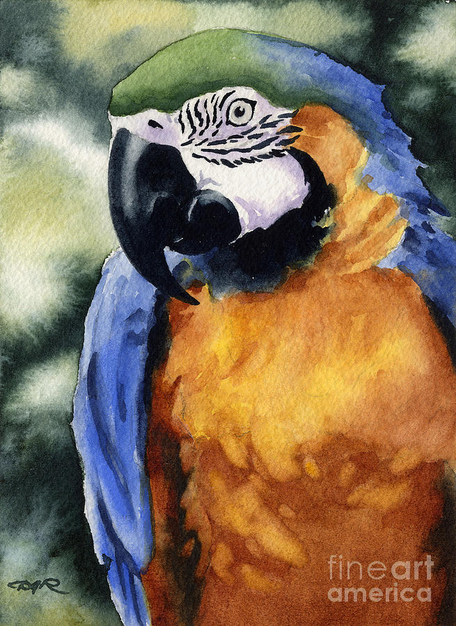 Macaw Painting - Blue And Gold Macaw by David Rogers
