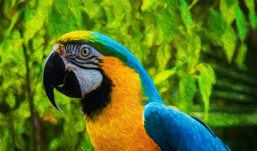 blue macaw painting