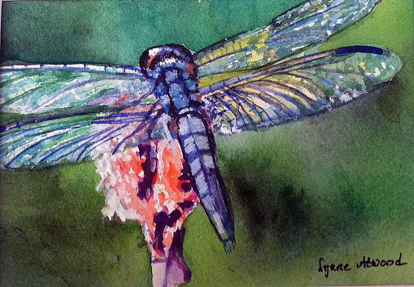 Dragonfly Painting - Blue and Green Dragonfly by Lynne Atwood Dragonfly Painting - Blue and Green Dragonfly by Lynne Atwood