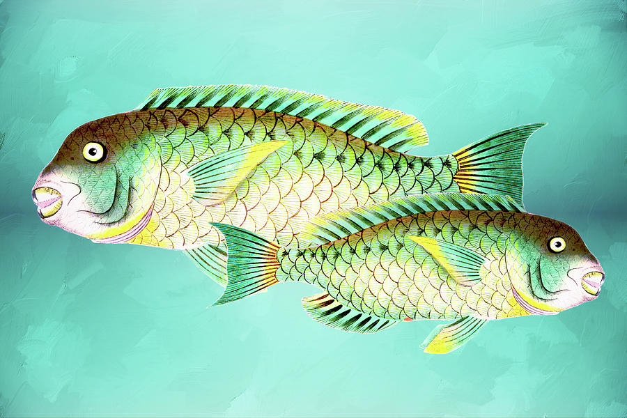 Two Fish Mixed Media - Blue And Green Fish Wall Art by Georgiana Romanovna