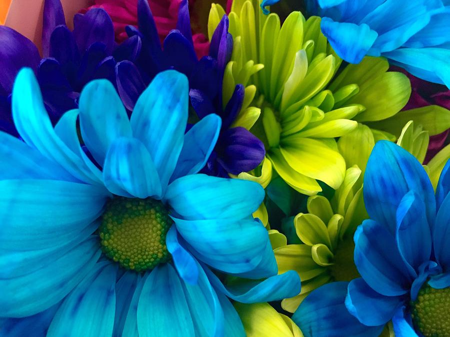 Blue And Green Flowers Photograph