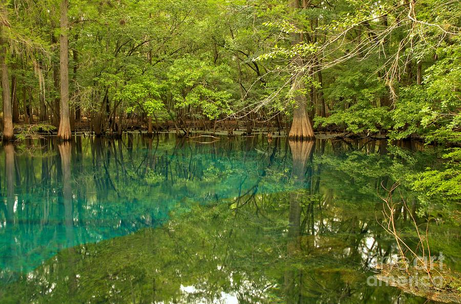 Manatee Spring Photograph - Blue And Green Waters At Manatee by Adam Jewell
