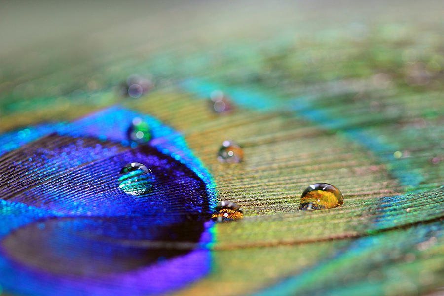 Blue and Orange Water Drops Photograph by Angela Murdock