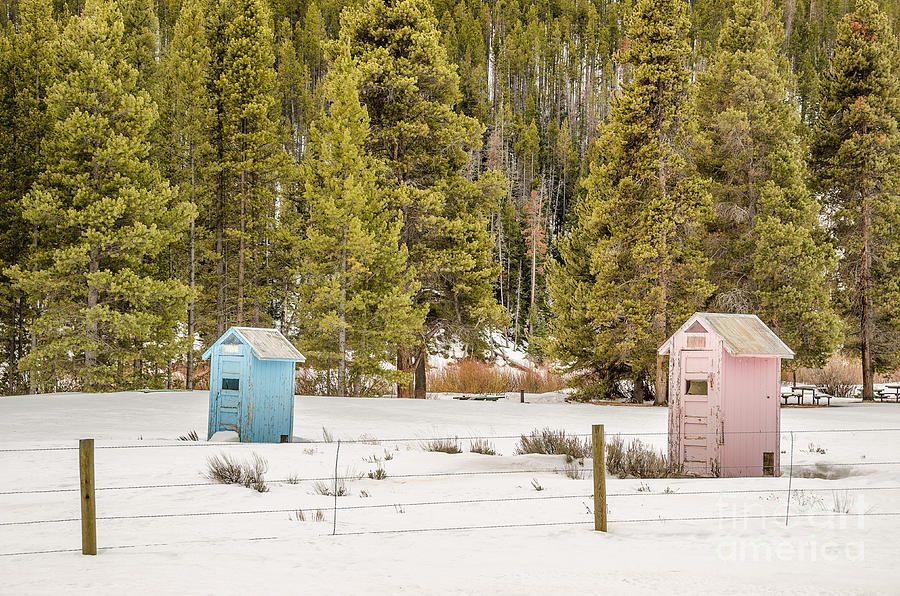 Blue and Pink Outhouses Photograph by Sue Smith