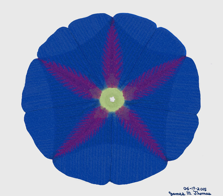 Blue Morning Glory Digital Art - Blue and Red Morning Glory by James M Thomas