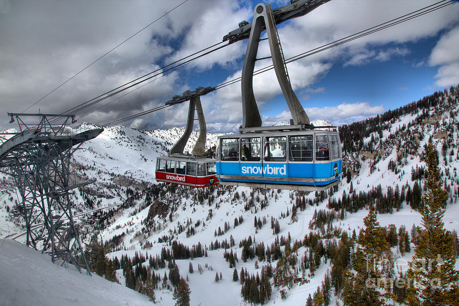 Blue And Red Snowbird Trams Photograph by Adam Jewell