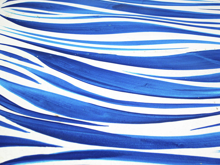 Blue and White No. 1 Photograph by Sandy Taylor