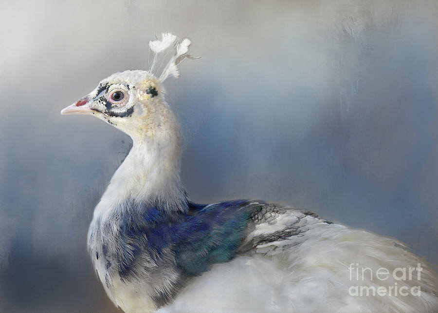 Blue and White Beauty Digital Art by Kathy Russell