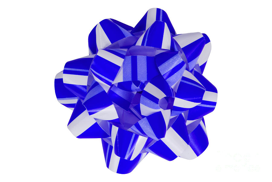 Blue and White Christmas Bow Photograph by Anthony Totah
