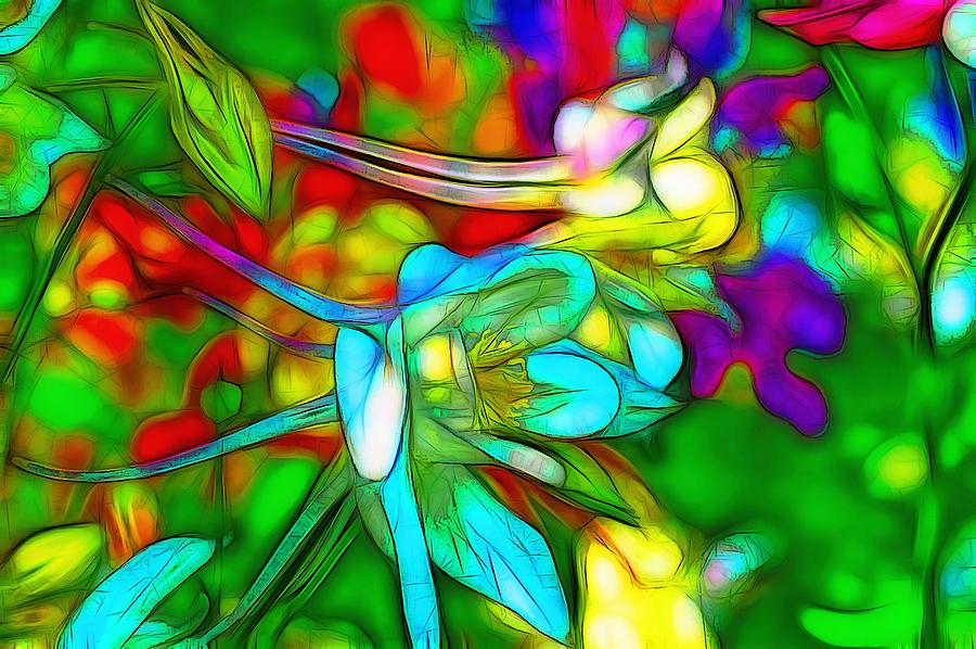 Flower Digital Art - Blue and White Columbines by Jean-Marc Lacombe